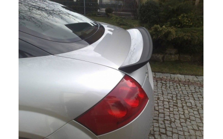 Спойлер Audi TT