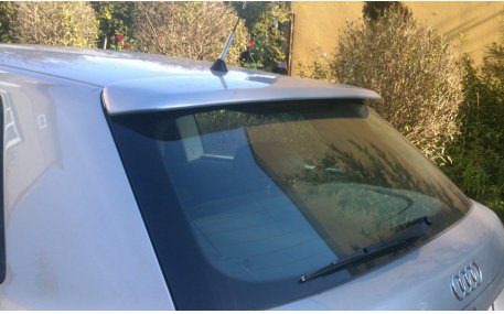 Спойлер Audi A3 8L