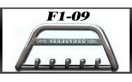 Защита передняя Ford Kuga MK1