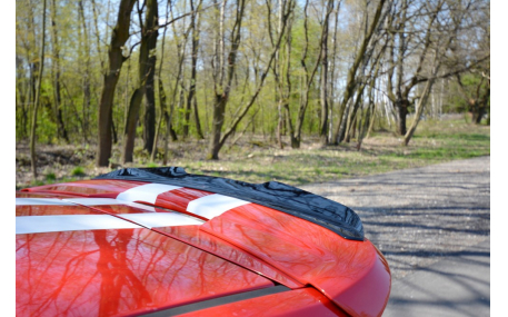 Спойлер Ford Fiesta 