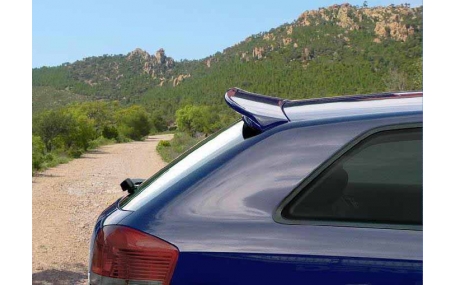 Спойлер Audi A3 8P