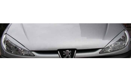 Ресницы Peugeot 206