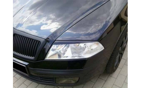Ресницы Skoda Octavia A5