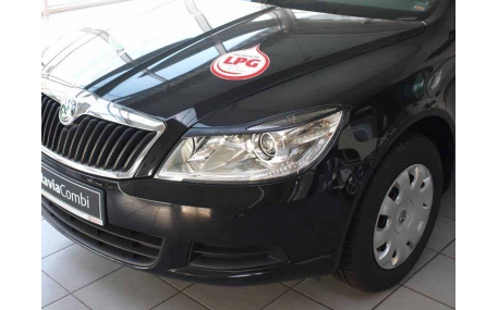 Ресницы Skoda Octavia A5