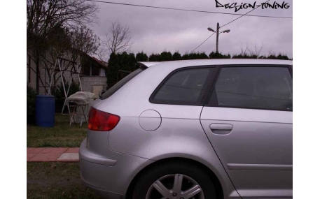 Спойлер Audi A3 8P