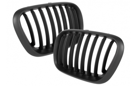 Решетка радиатора BMW X5 E53 1999-2003