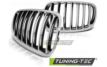 Решетка радиатора BMW X5 (E70)