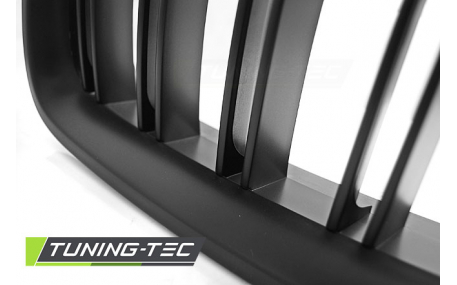 Решетка радиатора BMW 5 (F10)