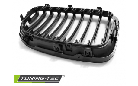 Решетка радиатора BMW X1 E84 2009-2012