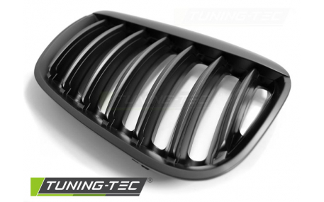 Решетка радиатора BMW X5 E53 2004-2006