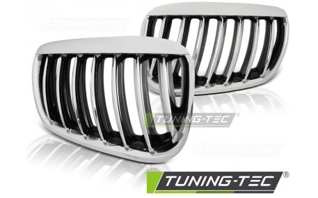 Решетка радиатора BMW X5 E53 2004-2006