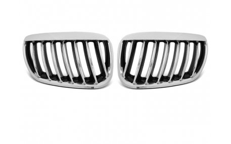 Решетка радиатора BMW X5 E53 2004-2006