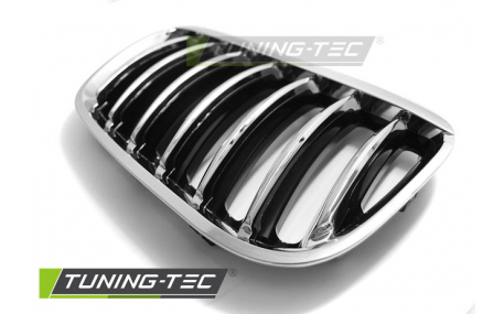 Решетка радиатора BMW X5 E53 2004-2006