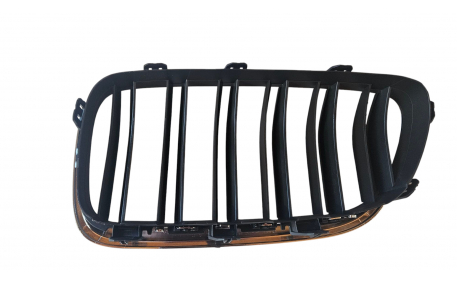 Решетка радиатора BMW 5 (F10)