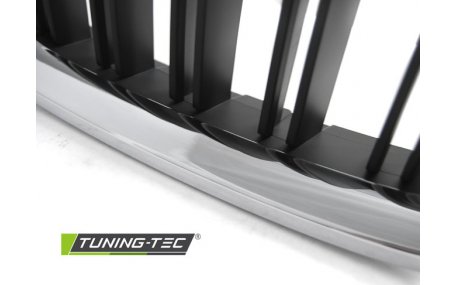 Решетка радиатора BMW 5 (F10)