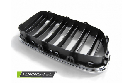 Решетка радиатора BMW 5 (F10)