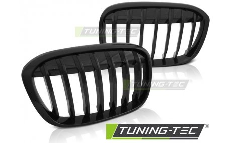 Решетка радиатора BMW X1 F48 2015-2019