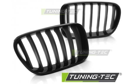 Решетка радиатора BMW X3 F25 2010-2014