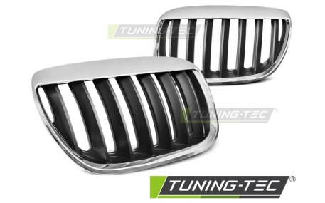 Решетка радиатора BMW X5 E53 2004-2006