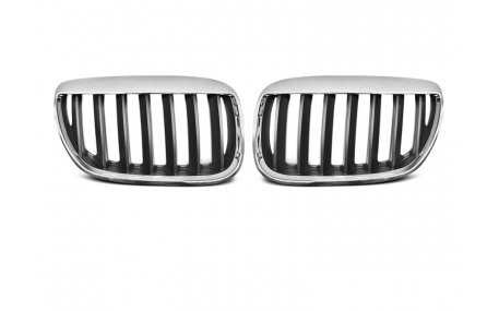 Решетка радиатора BMW X5 E53 2004-2006