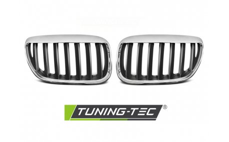 Решетка радиатора BMW X5 E53 2004-2006