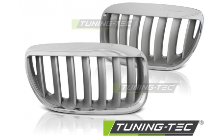 Решетка радиатора BMW X5 E53 2004-2006