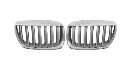 Решетка радиатора BMW X5 E53 2004-2006