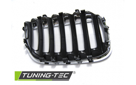 Решетка радиатора BMW X5 E53 2004-2006