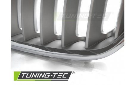 Решетка радиатора BMW X5 E53 2004-2006