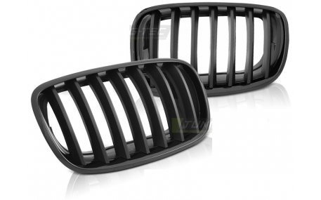 Решетка радиатора BMW X5 (E70)