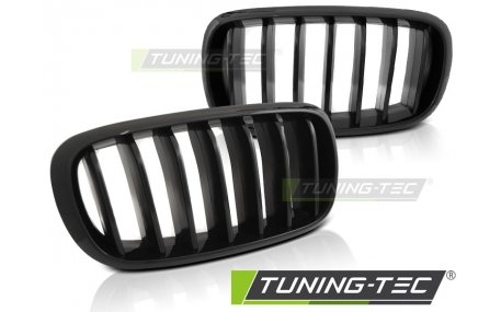 Решетка радиатора BMW X5 (F15)