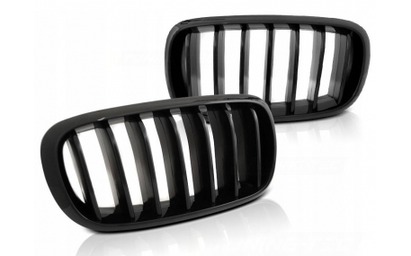 Решетка радиатора BMW X5 (F15)