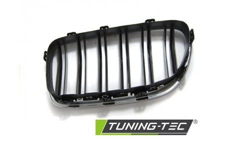 Решетка радиатора BMW 5 (F10)