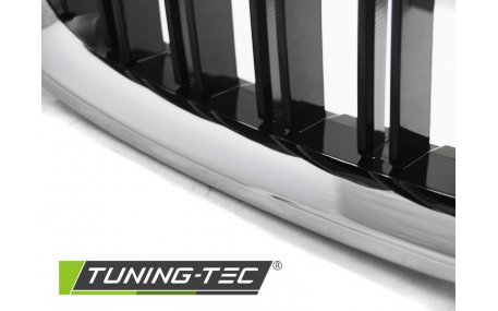 Решетка радиатора BMW 5 (F10)