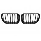 Решетка радиатора BMW X3 F25 2010-2014