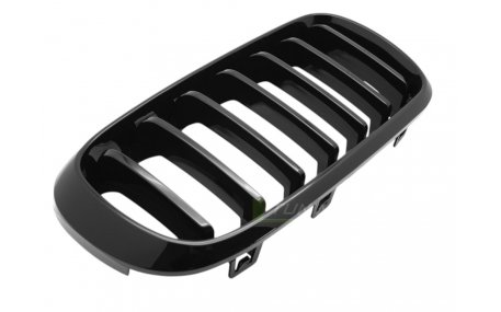 Решетка радиатора BMW X5 (F15)