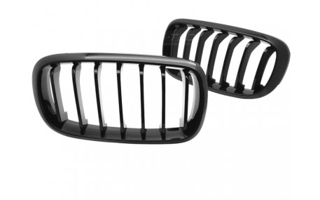 Решетка радиатора BMW X5 (F15)