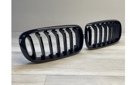 Решетка радиатора BMW X5 (F15)