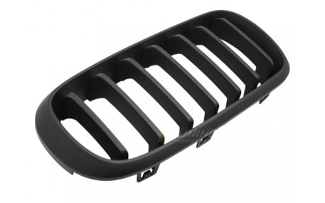 Решетка радиатора BMW X5 (F15)