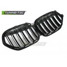 Решетка радиатора BMW X1 F48 2019-2021