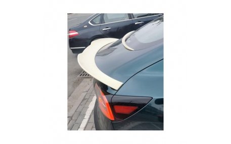 Спойлер Tesla Model 3