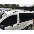 Рейлинги Citroen Nemo