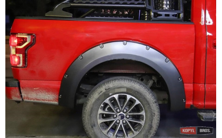 Арки Ford F150 2017-2020
