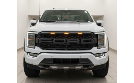 Решетка радиатора Ford F150 2021-2024