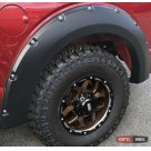 Арки Ford F150 2017-2020