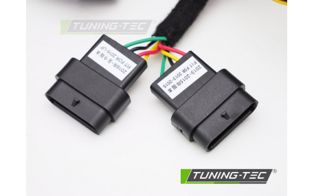 Фонари задние BMW 3 F30