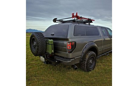 Фонари задние Ford F150