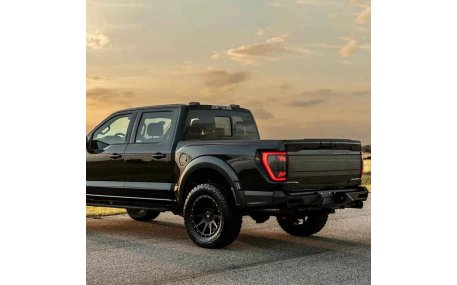 Фонари задние Ford F150 2021-2024