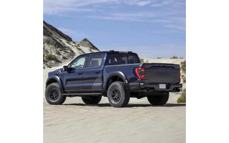 Фонари задние Ford F150