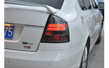 Фонари задние Skoda Octavia A5 Liftback